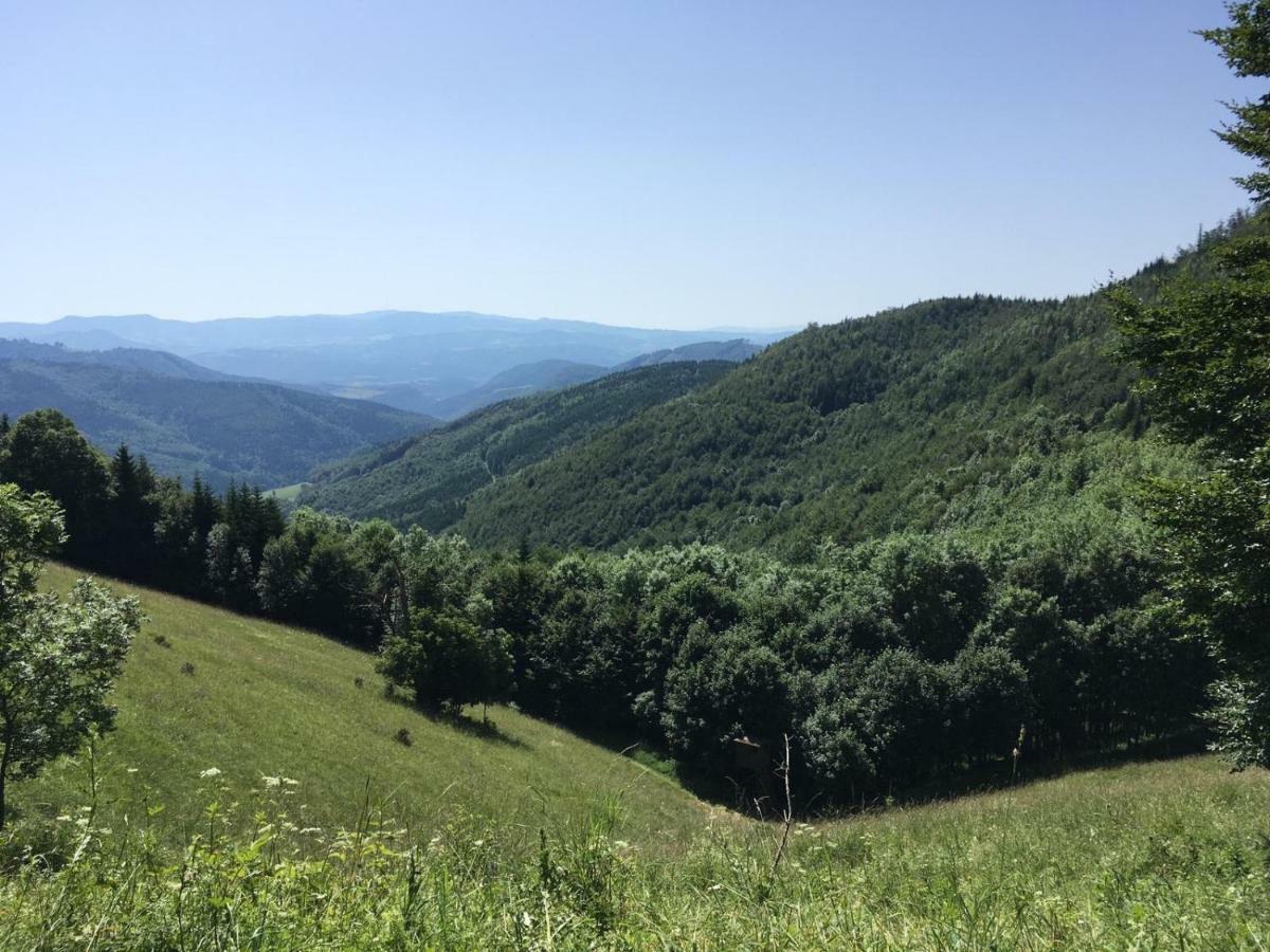 Apartmanovy Dom Spiezovec - Ap. 4 Donovaly Exteriör bild